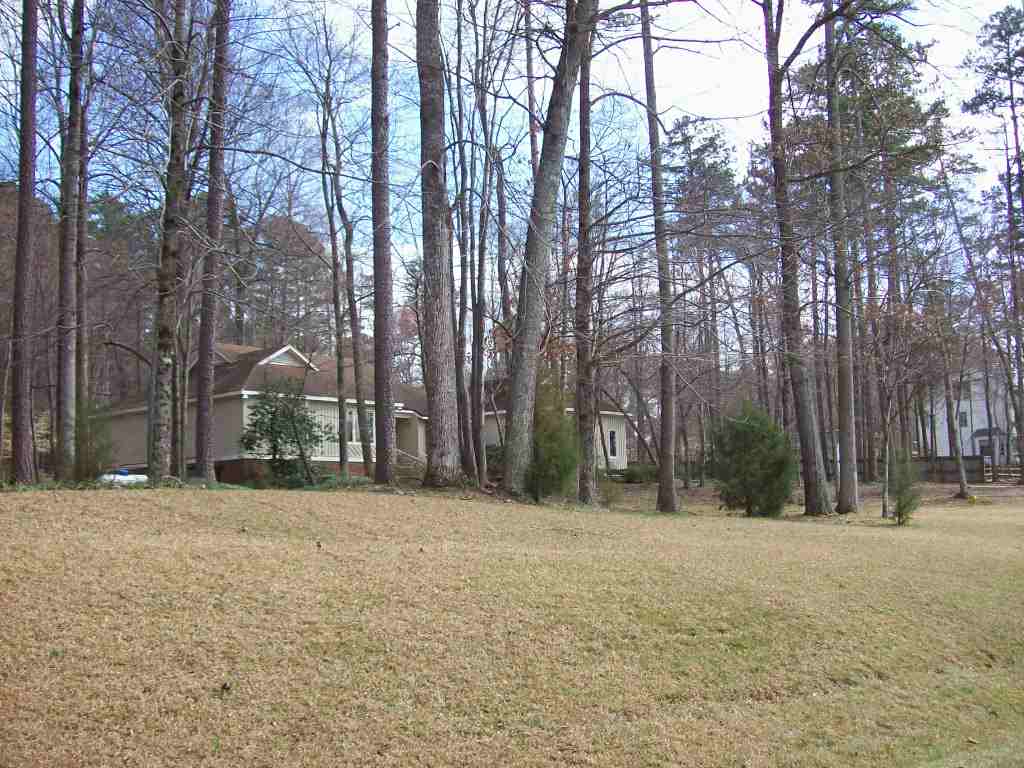 Brassfield front yard